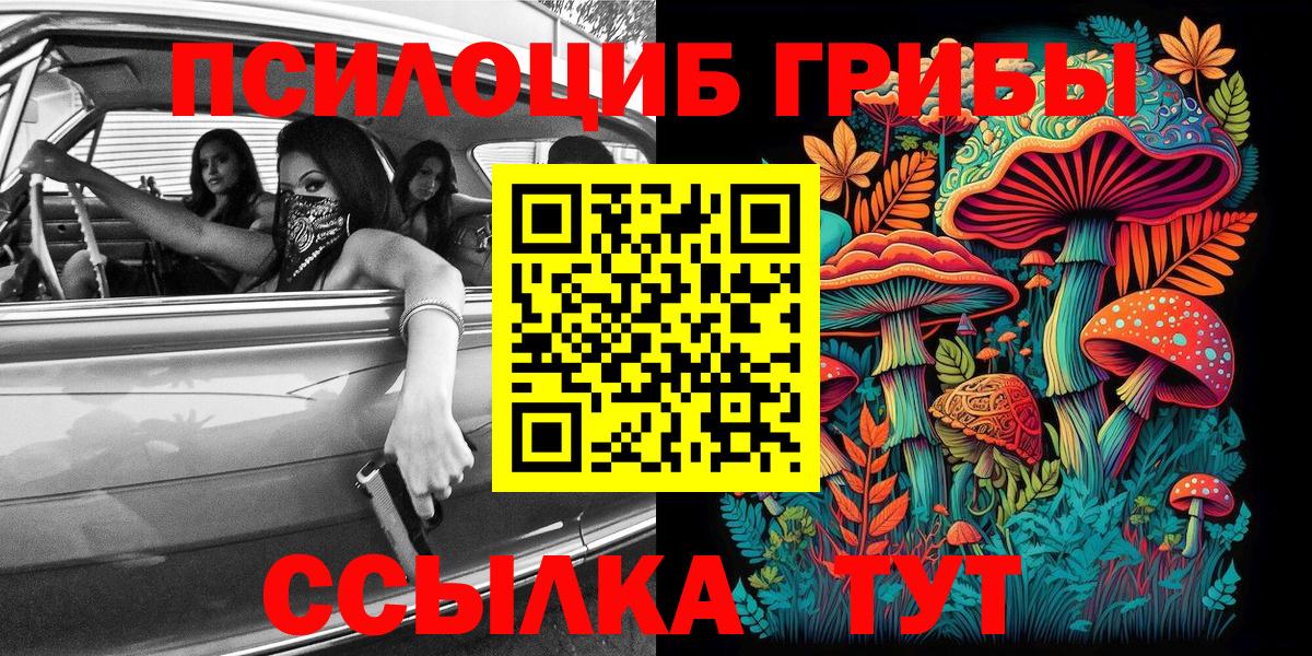 Галлюциногенные грибы Cubensis Сызрань